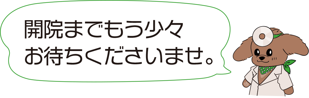 開院までもう少々お待ちくださいませ。